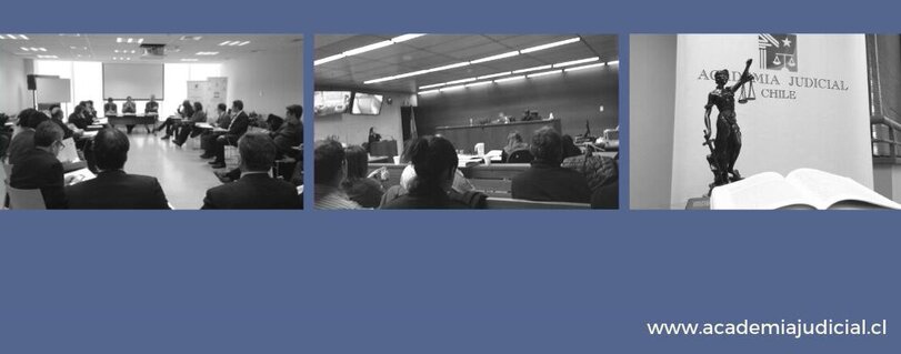 Academia-Judicial-libros_-material-docente-Facultad-Derecho-Universidad-Finis-Terrae-Alejandro-Leiva-Rodrigo-Poyanco-Juan-Pablo-Diaz-principal_02dc093766ba1dd4b815bdf888cf4d5f