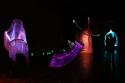 illasawiri-doctorado-teaser_f0977618fe0c542df061528b1b3949cb