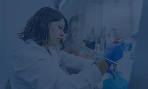 nuestro-escudo-carrusel-sitio-institucional