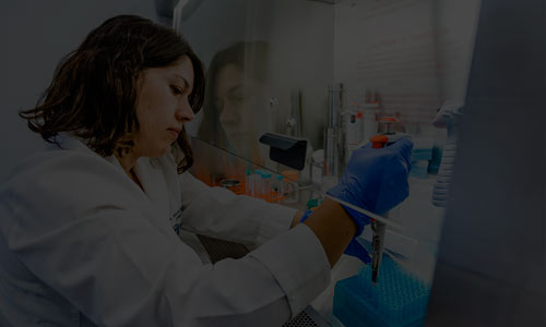 nuestro-escudo-identidad-visual-filtro-negro