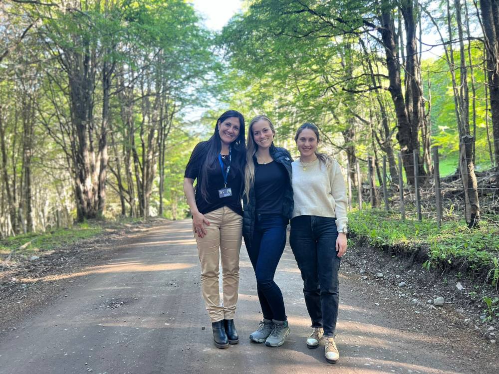 4. Misiones Patagonia