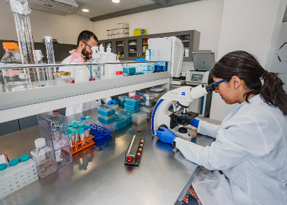 investigacion-ranking-teaser