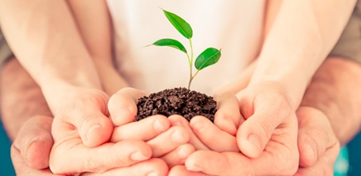 postgrado-psicologia-principal