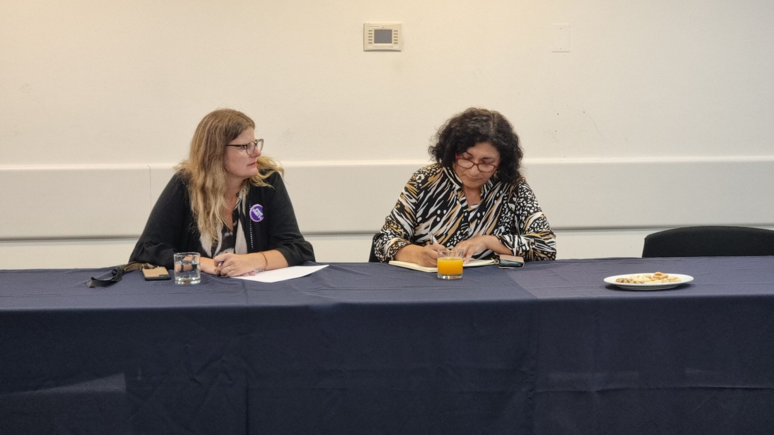 Clinica-Juridica-Pyme-Facultad-Derecho-Universidad-Finis-Terrae-Consejo-Sociedad-Civil-Subsecretaria-Economia-Empresas-Menor-Tamaño-9