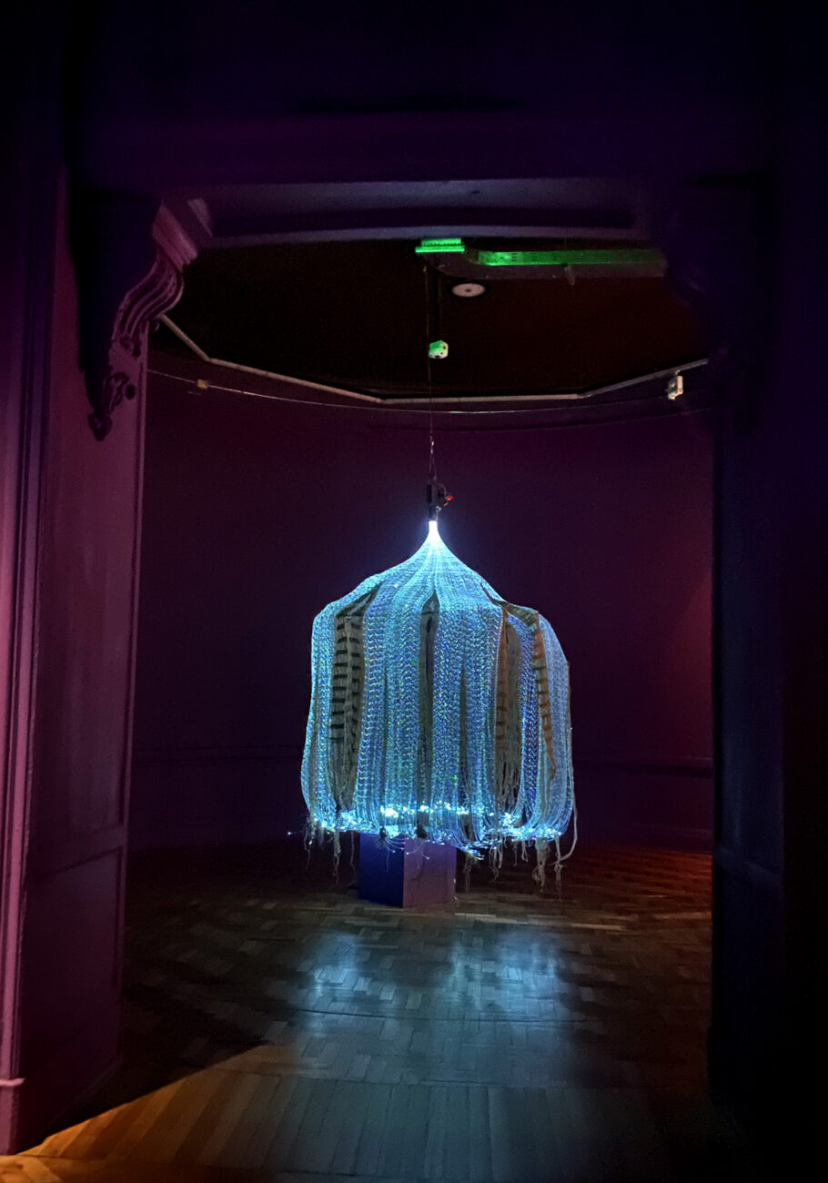 Sandra de Berduccy – MNBA