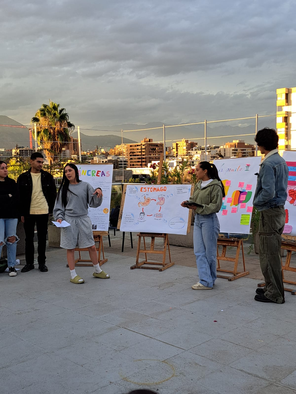 WhatsApp Image 2024-04-30 at 12.30.54