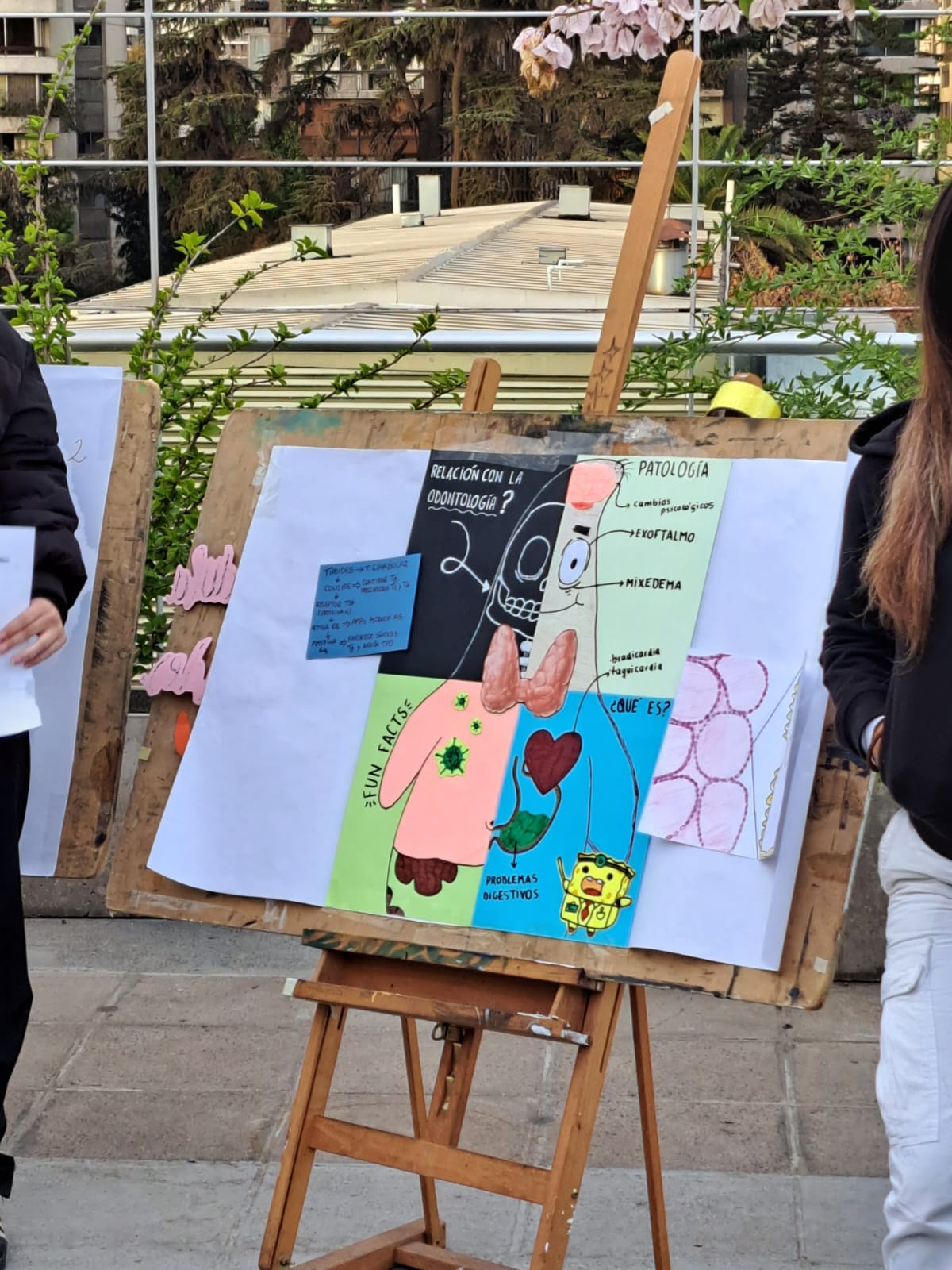 WhatsApp Image 2024-04-30 at 12.30.55-4