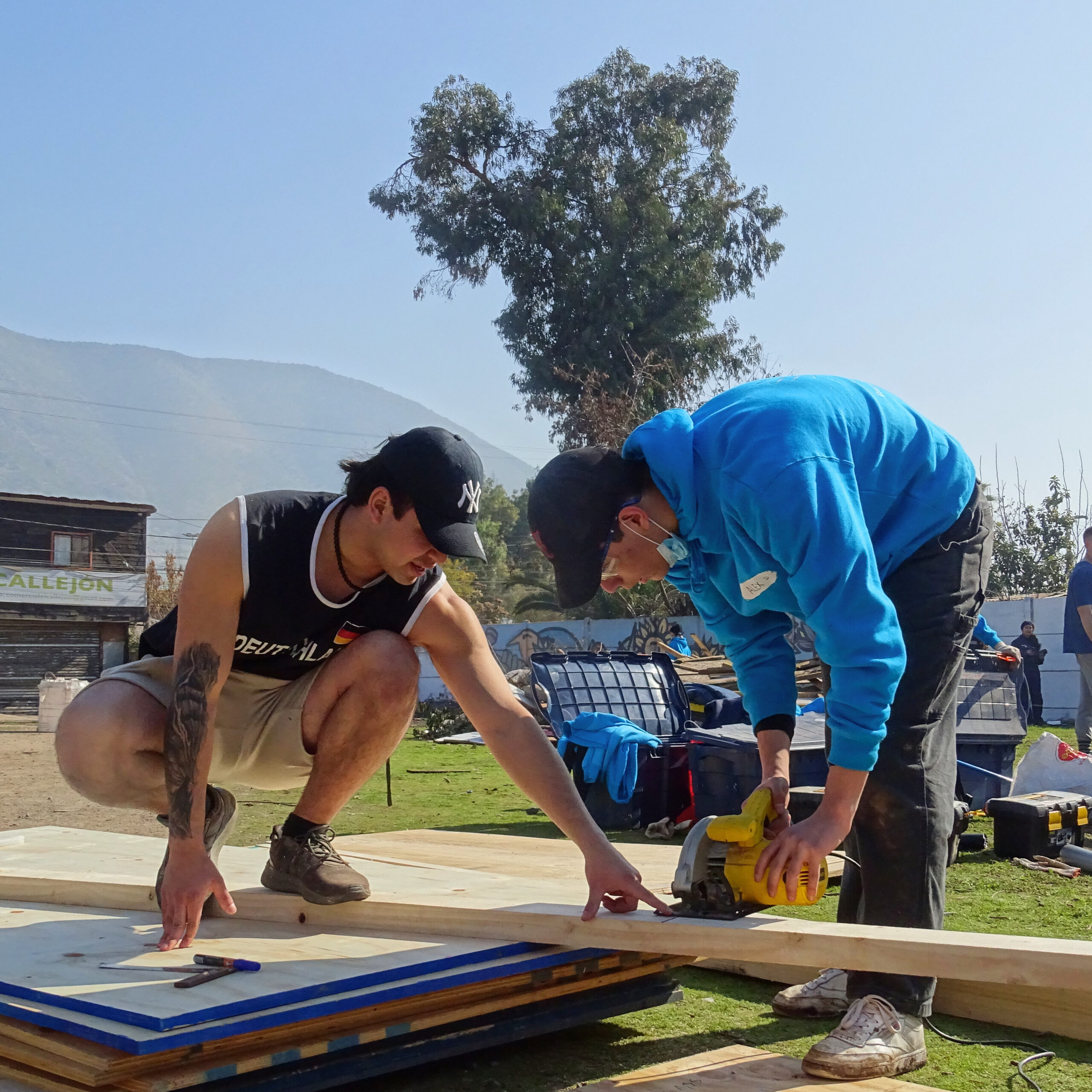 Trabajos de Invierno (5)