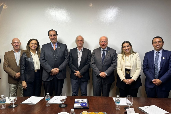 Rector-realcup-teaser