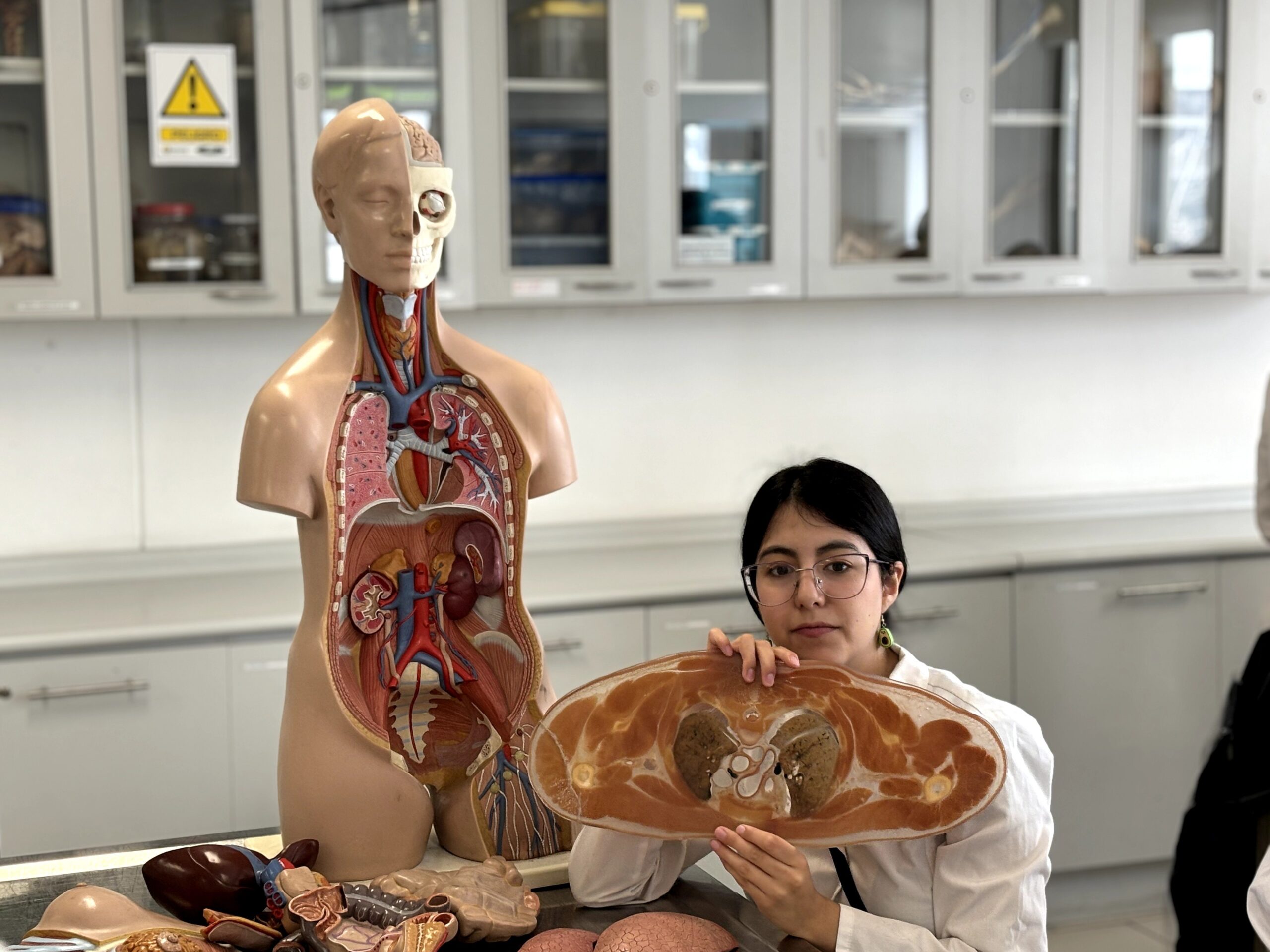 curso verano medicina 2