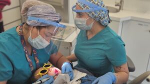 Salud dental y salud mental en niños, niñas y adolescentes