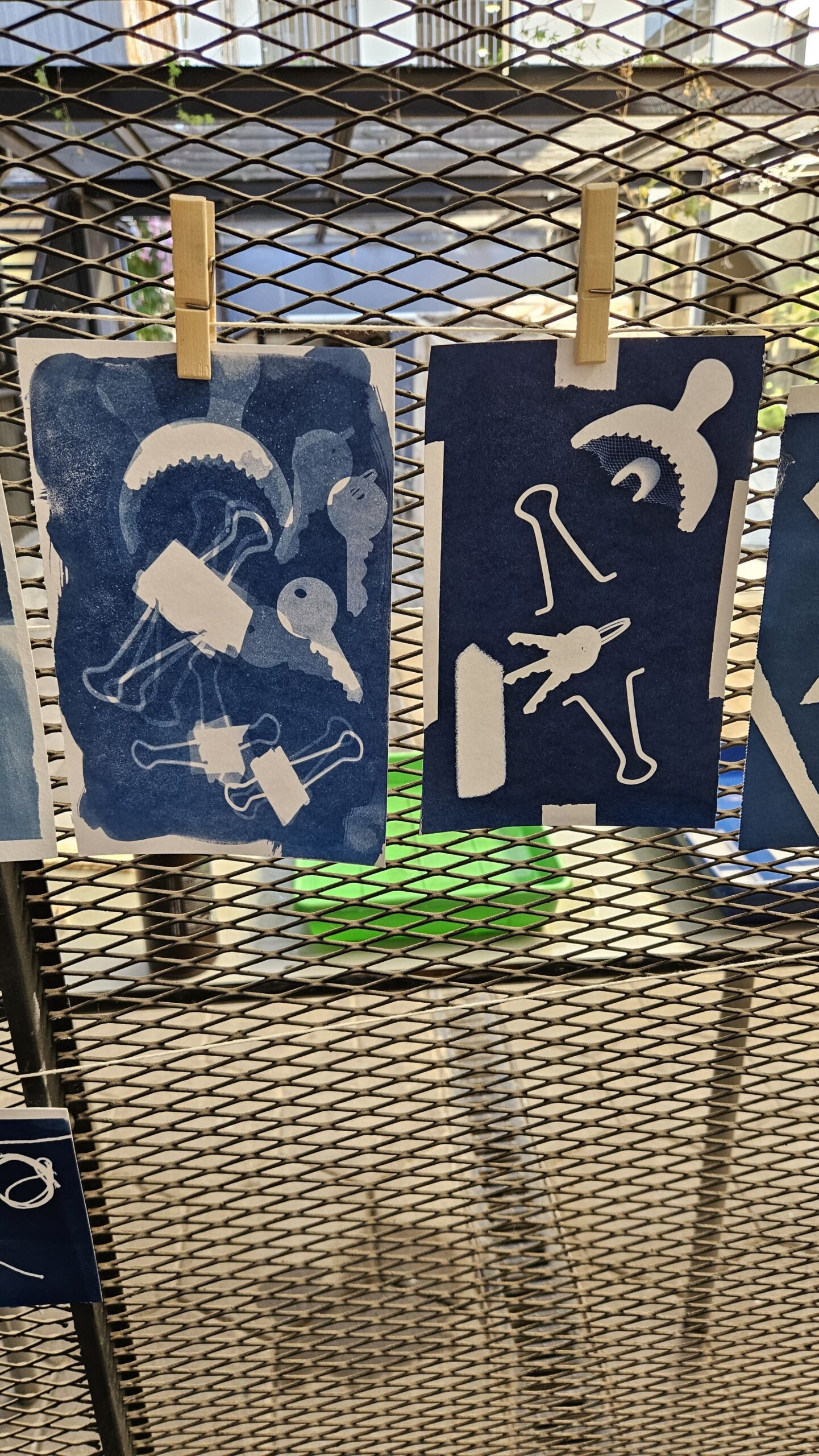 WhatsApp Image 2025-01-31 at 10.56.00