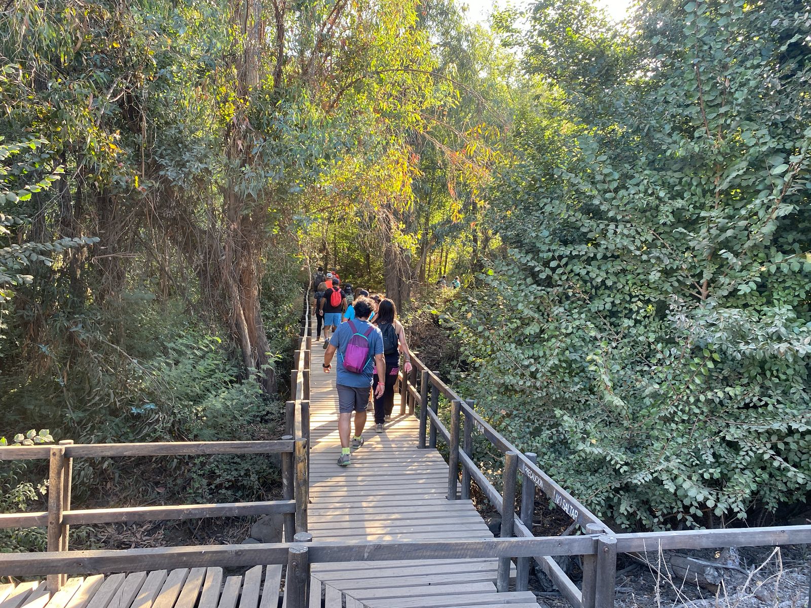 WhatsApp Image 2025-03-22 at 13.38.11 (1)