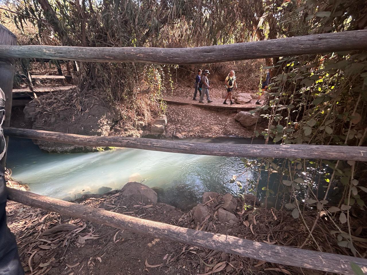 WhatsApp Image 2025-03-22 at 14.10.40