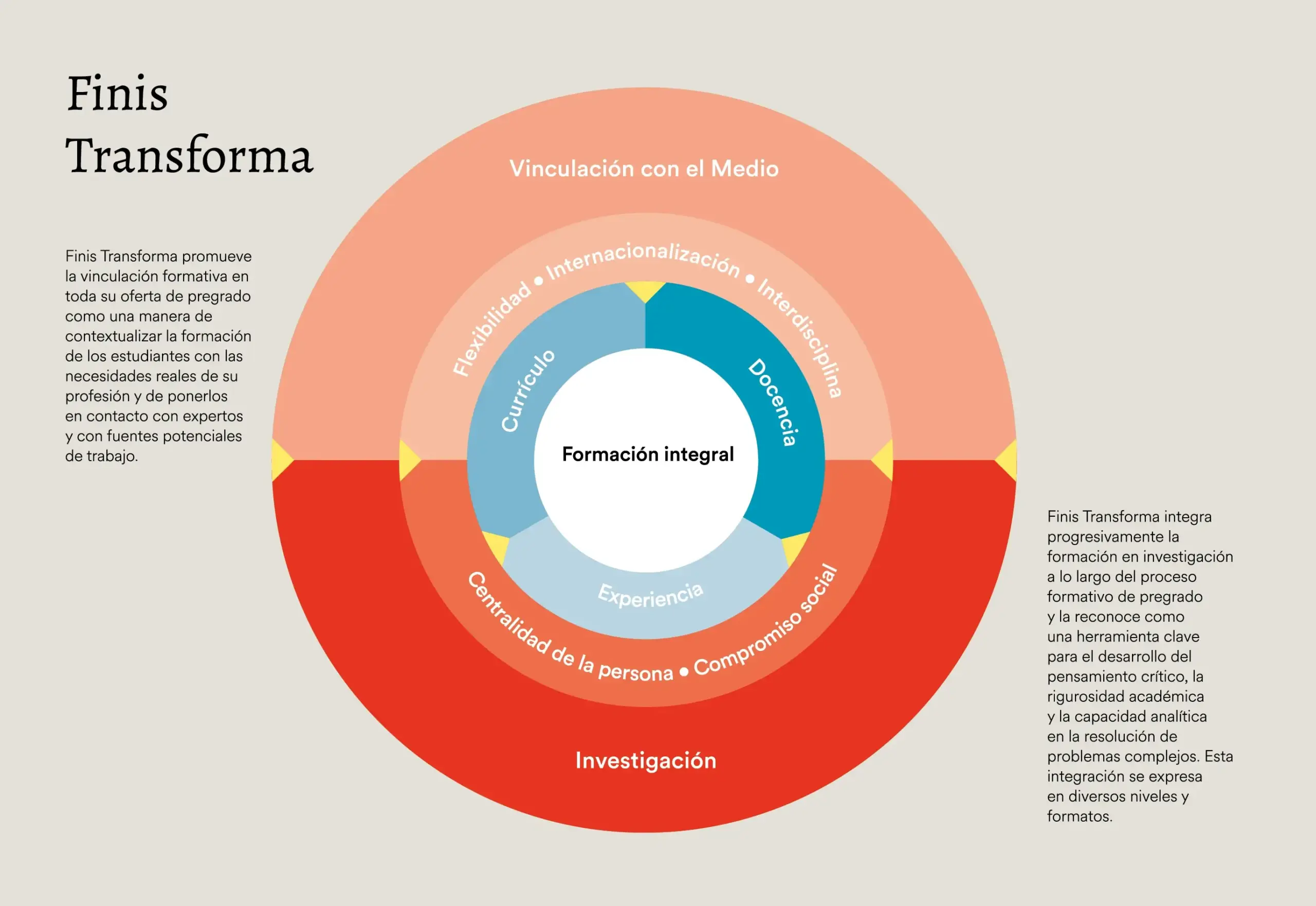 Infografía Modelo Pregrado