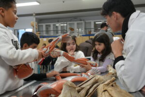 Estudiantes conociendo cómo funcionan los músculos.