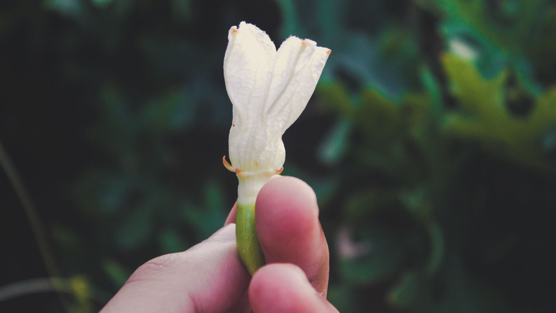 Plantillas fotos agenda (22)