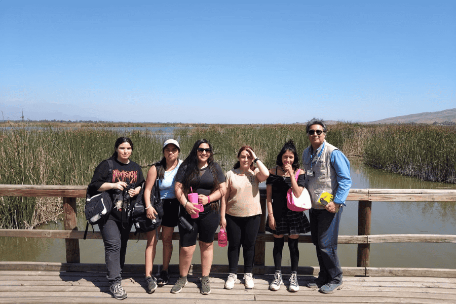 Diseño sin título (23)