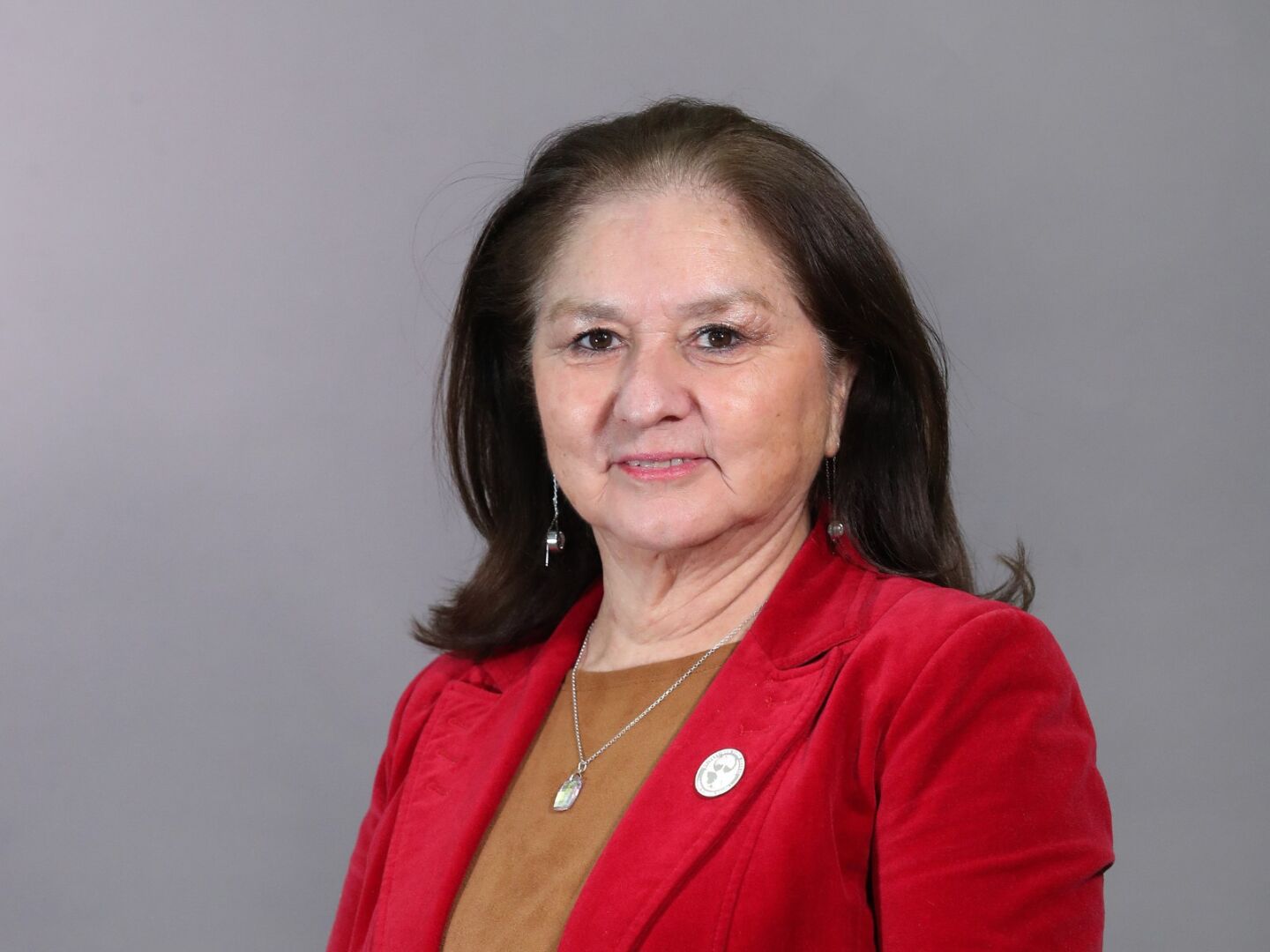 Decana de la Facultad de Ingeniería, Dra. Angélica Urrutia, entrega mensaje por el Día Nacional de la Ingeniería 2026