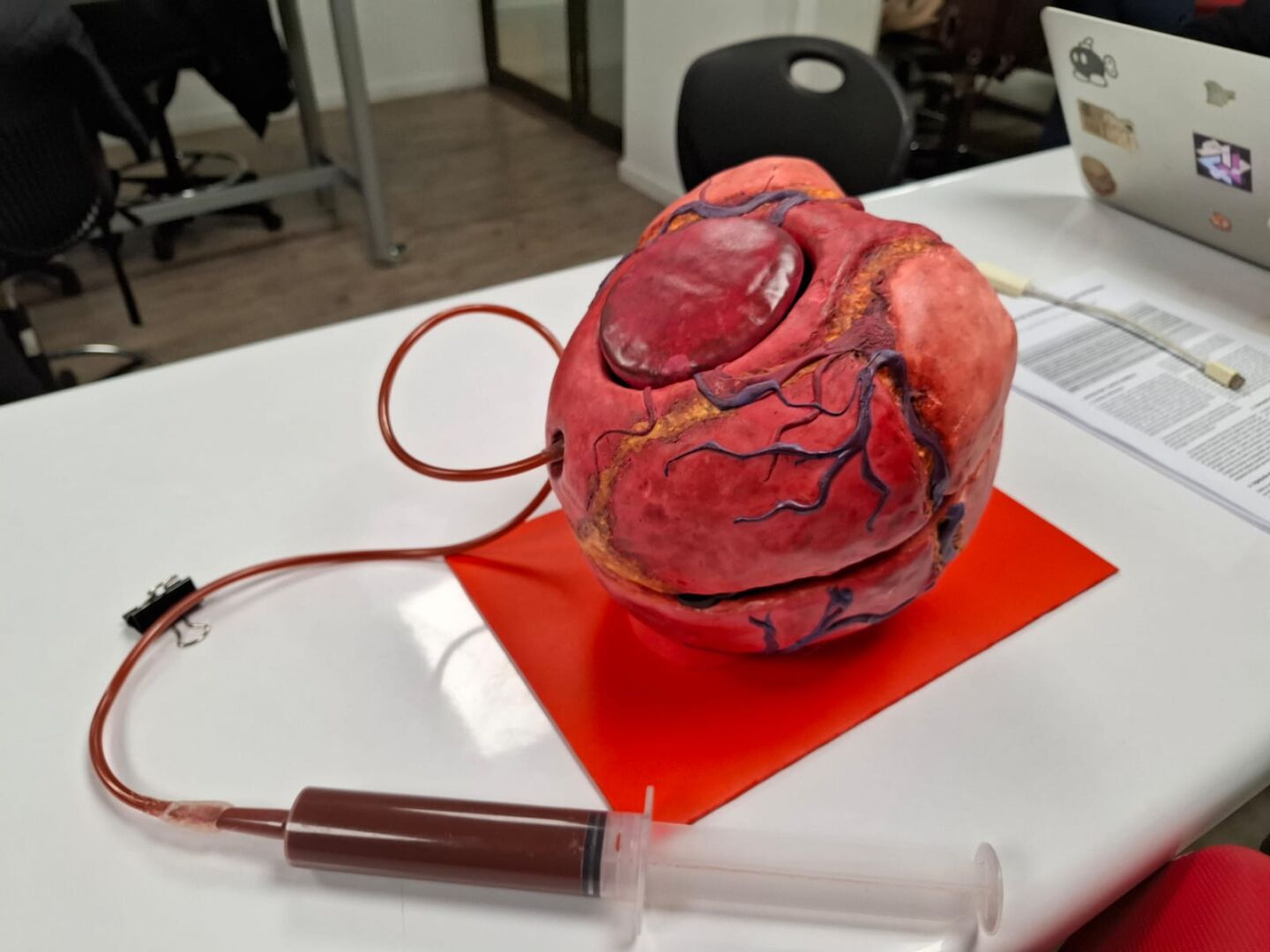 Estudiantes de Ingeniería Civil Biomédica desarrollan prototipos de corazón para comprender el sistema circulatorio
