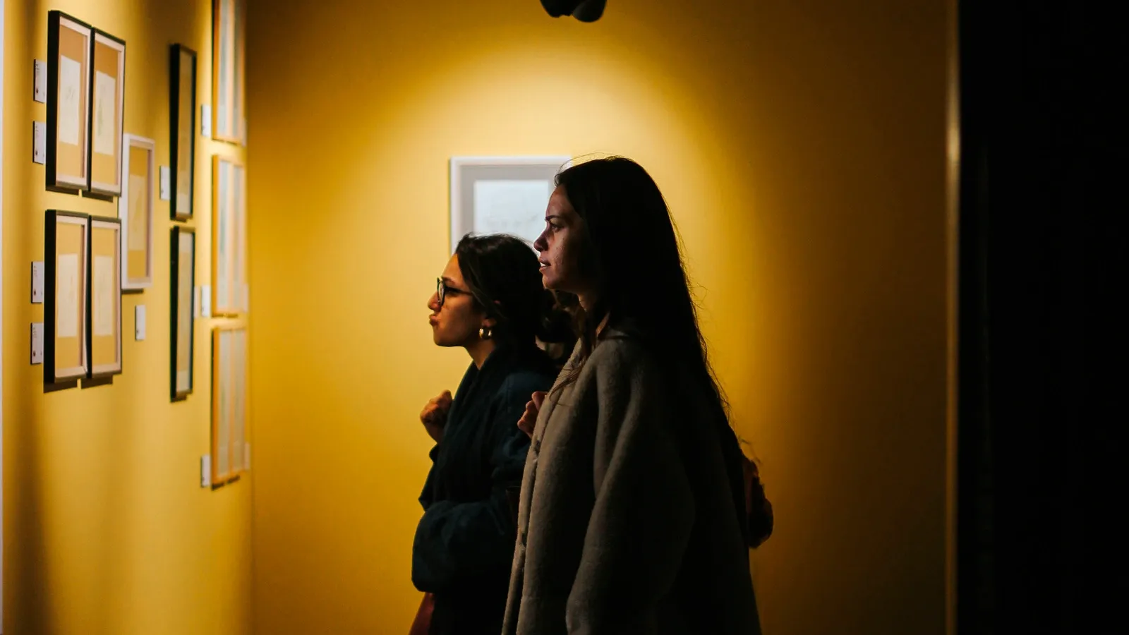 Formación